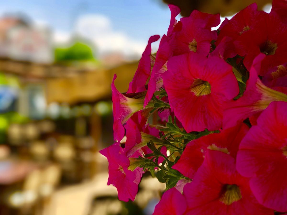 פאטהיה Nehir Apart Hotel מראה חיצוני תמונה