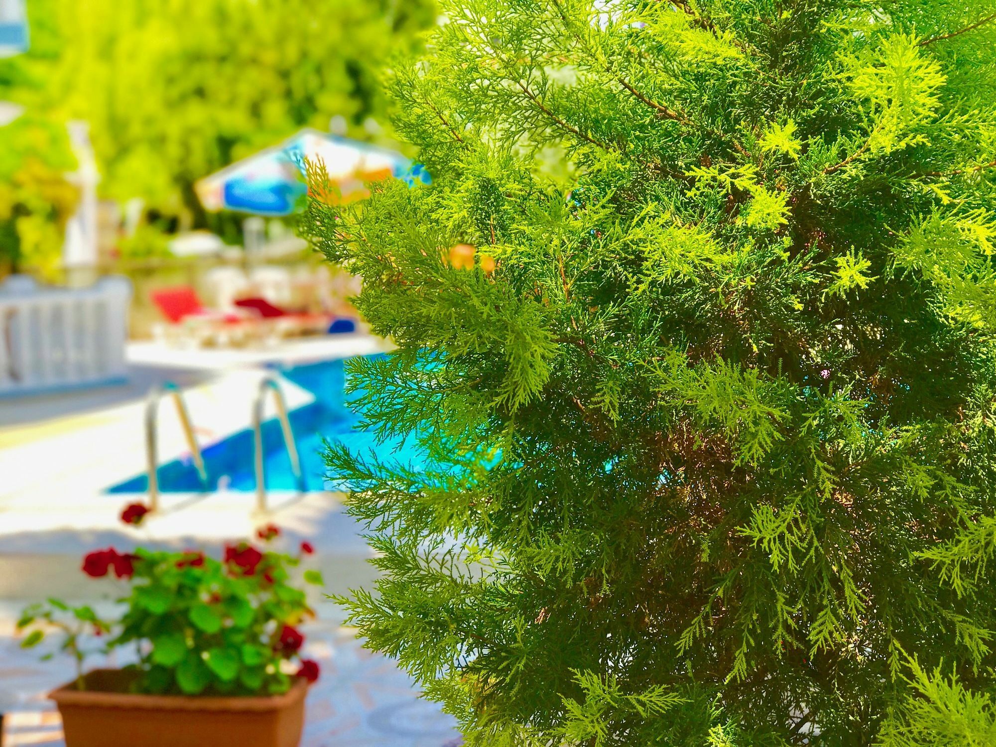 פאטהיה Nehir Apart Hotel מראה חיצוני תמונה